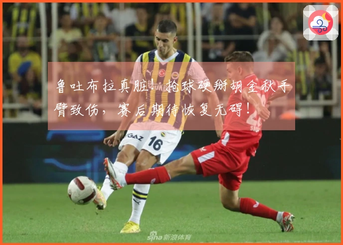 鲁吐布拉真脏！抢球硬掰胡金秋手臂致伤，赛后期待恢复无碍！